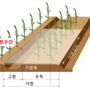 수확감소보장방식에 대하여 - 업방정복 이미지