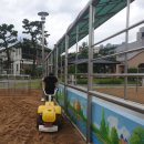 춘천교육대학교부설초등학교 이미지