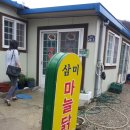 닭마실 이미지