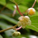 구좌공설묘지 이미지