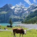 아이렌트카 이미지