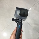 고프로다이브