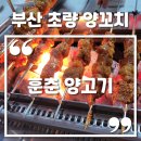 훈춘양고기 | 부산 초량 중국 현지인 본토 양꼬치 훈춘양고기 솔직후기