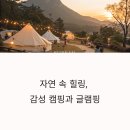 캠핑/글램핑 이미지