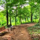 점성공원 이미지