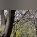 앙호두 광주1호 첨단지구점 이미지
