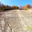 신성리 공룡발자국 이미지