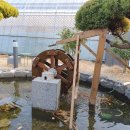 엘리의 정원 이미지