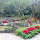 시온목욕탕 이미지