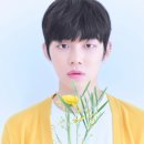연준필름