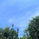 선 남원 추어탕 이미지