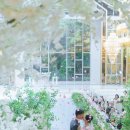 브리앙뜨 이미지