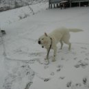 입암농장 이미지