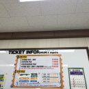 여주곤충박물관 | 여주가볼만한곳 여주곤충박물관 다녀온 후기