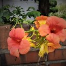 치유행정사사무소 이미지