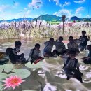 장흥남초등학교 이미지