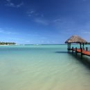 피지글로벌 이미지