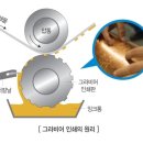 정도인쇄 이미지