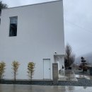 가진개 | 대전 괴곡동 예쁜카페추천 : 투드커피 (애견동반 카페)