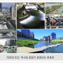 건축사사무소서안