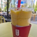 공차일산 - 고양시 일산동구 위시티2로11번길 31 | ## [ 일산 공차 ] 일산서구 버블티 맛집 공차 일산점 |