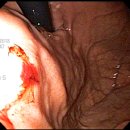 우리정내과의원 이미지