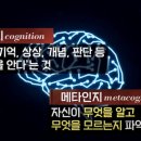 샤IN영어