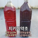 지키미약초