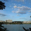 수원-1831 이미지