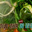 태백닭갈비 Daum카페