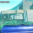 대전용달 | 대전용달이사 후기 모음, 고객이 말하는 장단점 완전 정리!