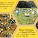 장원가설