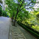 유림-1135 이미지