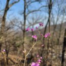 [천안여행]가볍게 산책 겸 산행하기 좋은 곳, 외손녀랑 천안 태학산(태학사)에 다녀왔어요~