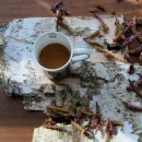 비발디 향기나무 이미지