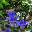 마당밥상 이미지