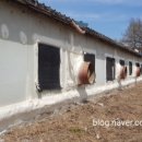 우풍농장 이미지