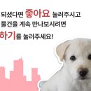 디딤돌당구장 이미지