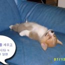 ㅋㅋ