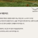 breaTH | 디퓨저 가성비디퓨저 추천, 비듀이(BeDEWY) 디퓨저 브레스(Breath) 내돈내산 후기 (가격,향,실제사용모습)