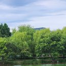 순천만국가정원 이미지