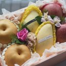 클리어박스 이미지