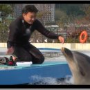 유앤아이해피심리상담센터한국동물매개심리치료학회연구소 | 엇갈림, 은둔형외톨이 안리라와 고구마, 한국동물매개심리치료학회 부천연구소.유앤아이해피심리상담센터