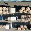 송탄농협미곡종합처리장 이미지