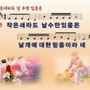 새라 이미지