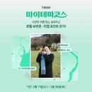 티맵