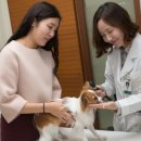 건강문화캠퍼스 이미지