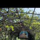 매정목장 이미지