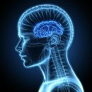 화정탑한의원 이미지