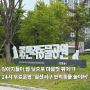 완주군 반려동물 놀이터 | [일산] 파주 일산 반려동물 놀이터 ‘일산서구 반려동물 놀이터’